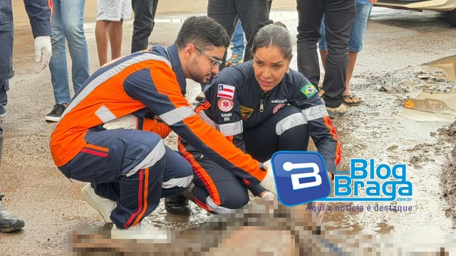 28e77d39-1d75-477f-a074-baff890d6f08